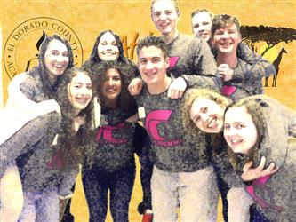 oak ridge team posing with zoom background